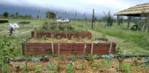 Huerta de Alquiler